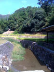 d4a85854.jpg
