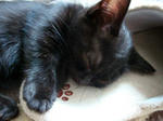 09042603.jpg