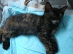 DSC04043.JPG