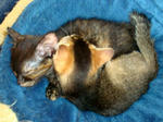 09042704.jpg