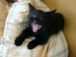 09042705.jpg