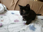 09050304.jpg