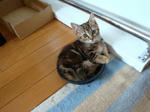 09050604.jpg