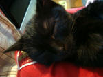 09050803.jpg
