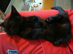 09050804.jpg
