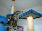 090702ac07.jpg