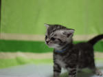 090911ash305.jpg