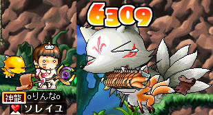 おキツネ様 & 知力マント60