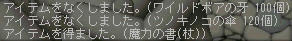 ジェーントワイルドボア　報酬　魔力の書(杖)