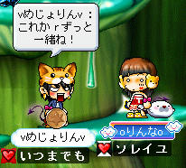 あたしは、どこに落ち着くのかなぁ？