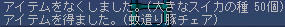 やっぱり大きい種から蚊遣り豚