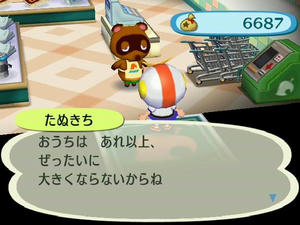 wiiの街へいこうよどうぶつの森のたぬきち商店にて
