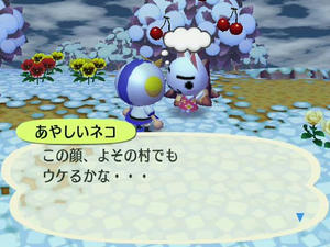 Wiiの街へいこうよどうぶつの森のあやしいネコ訪問