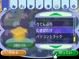 Wiiの街へいこうよどうぶつの森,フリーマーケットのむぎばたけ