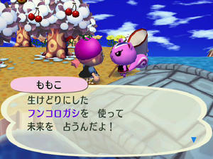 Wiiの街へいこうよどうぶつの森,ももこちゃんのマイブーム