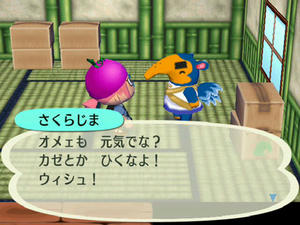 Wiiの街へいこうよどうぶつの森,さくらじまの引っ越し