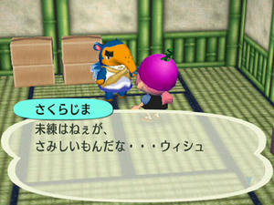 Wiiの街へいこうよどうぶつの森,さくらじまの引っ越し
