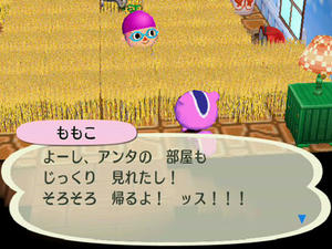 Wiiの街へいこうよどうぶつの森,フリーマーケットのむぎばたけ