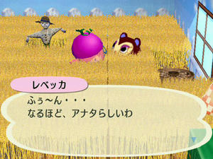 Wiiの街へいこうよどうぶつの森,フリーマーケットのむぎばたけ