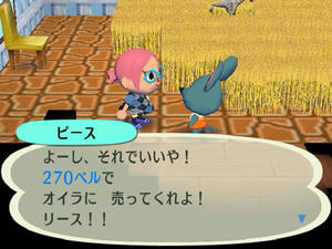 Wiiの街へいこうよどうぶつの森,フリーマーケットのむぎばたけ