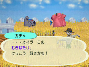 Wiiの街へいこうよどうぶつの森,フリーマーケットのむぎばたけ