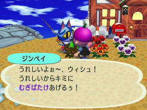 Wiiの街へいこうよどうぶつの森,フリーマーケットでむぎばたけ