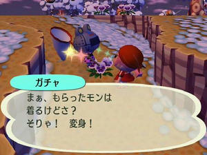 Wiiの街へいこうよどうぶつの森,2月13日はガチャの誕生日。
