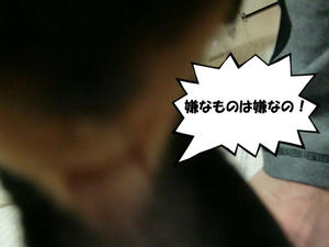 いやなものは嫌なの！