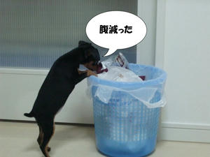 はらへった