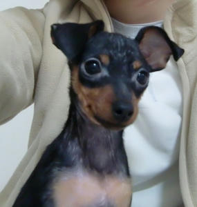 200812272.JPG
