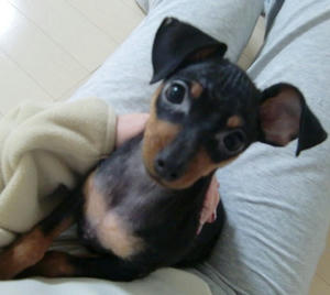 20081227.JPG