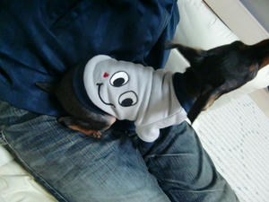 CIMG0300.JPG