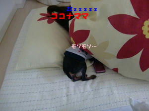 CIMG0307.JPG