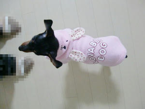 CIMG0337.JPG