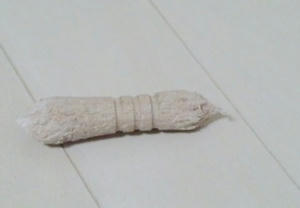 CIMG0350.JPG