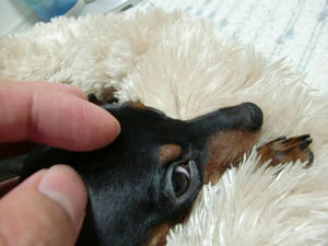CIMG0691.JPG