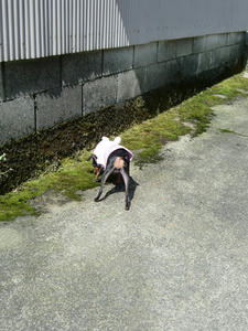 CIMG0761.JPG