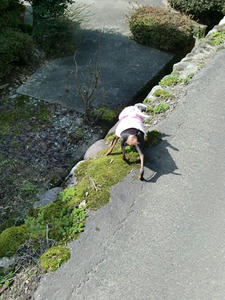 CIMG0763.JPG