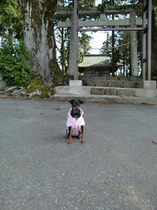 CIMG0766.JPG