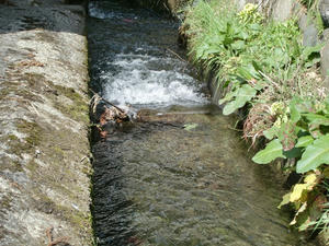 CIMG0767.JPG