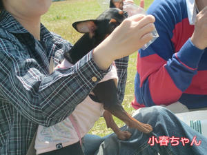 CIMG0861.JPG