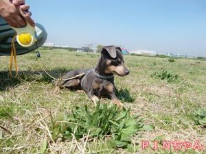 CIMG0864.JPG