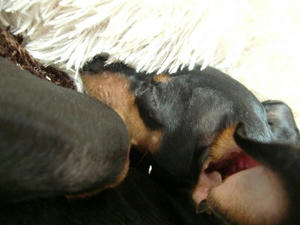 CIMG0868.JPG