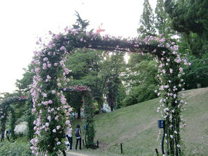 CIMG0967.JPG