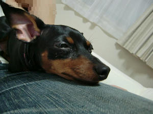 CIMG0977.JPG
