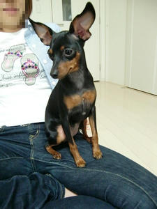 CIMG0989.JPG