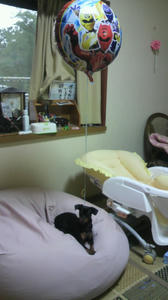 2009081318260000.jpg