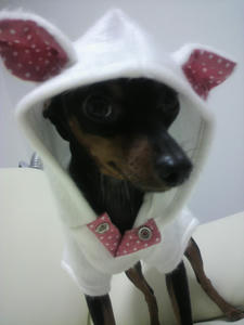 2009120120020000.jpg