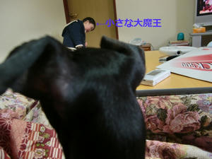 CIMG1660.JPG