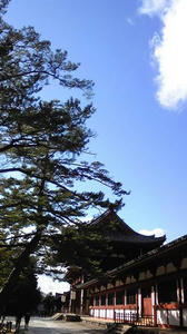 nara.jpg